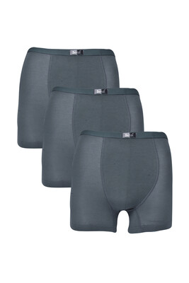Berrak 4488 3'Lü  Erkek Boxer Füme