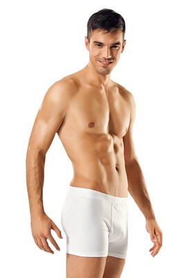 Gümüş 4018 3'lü  Boxer Çok Renkli - 3