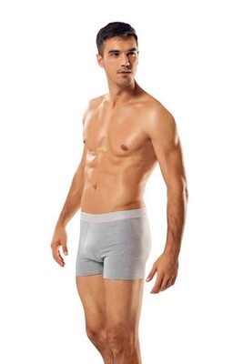 Gümüş 4018 3'Lü  Boxer Gri